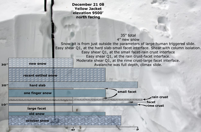 yellow-jacket-snow-profile